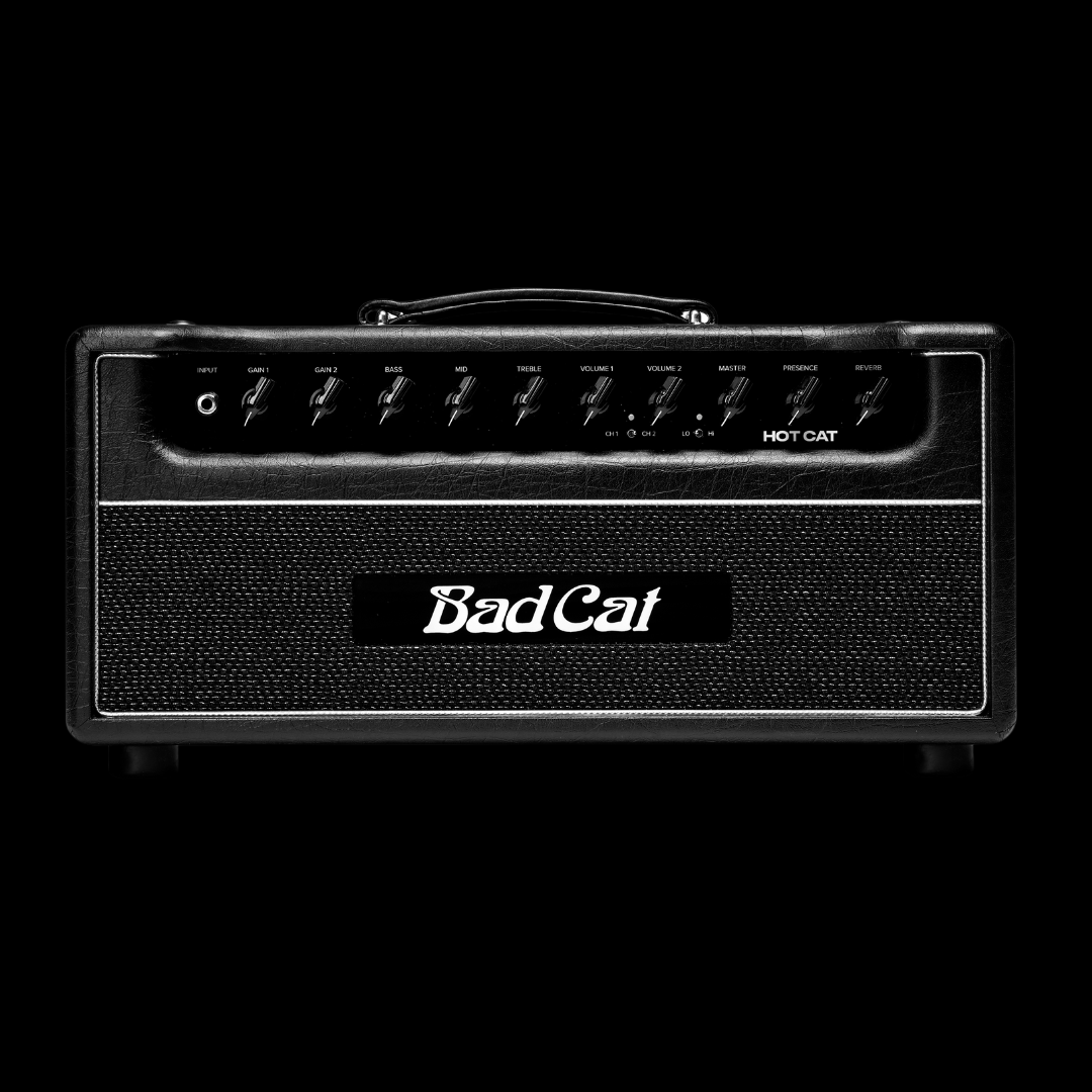 Bad Cat Hot Cat 45 Watt Head - Palen Music