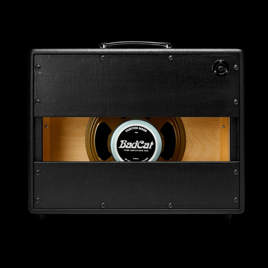 Bad Cat Hot Cat 1x12 Extension Cabinet - Palen Music
