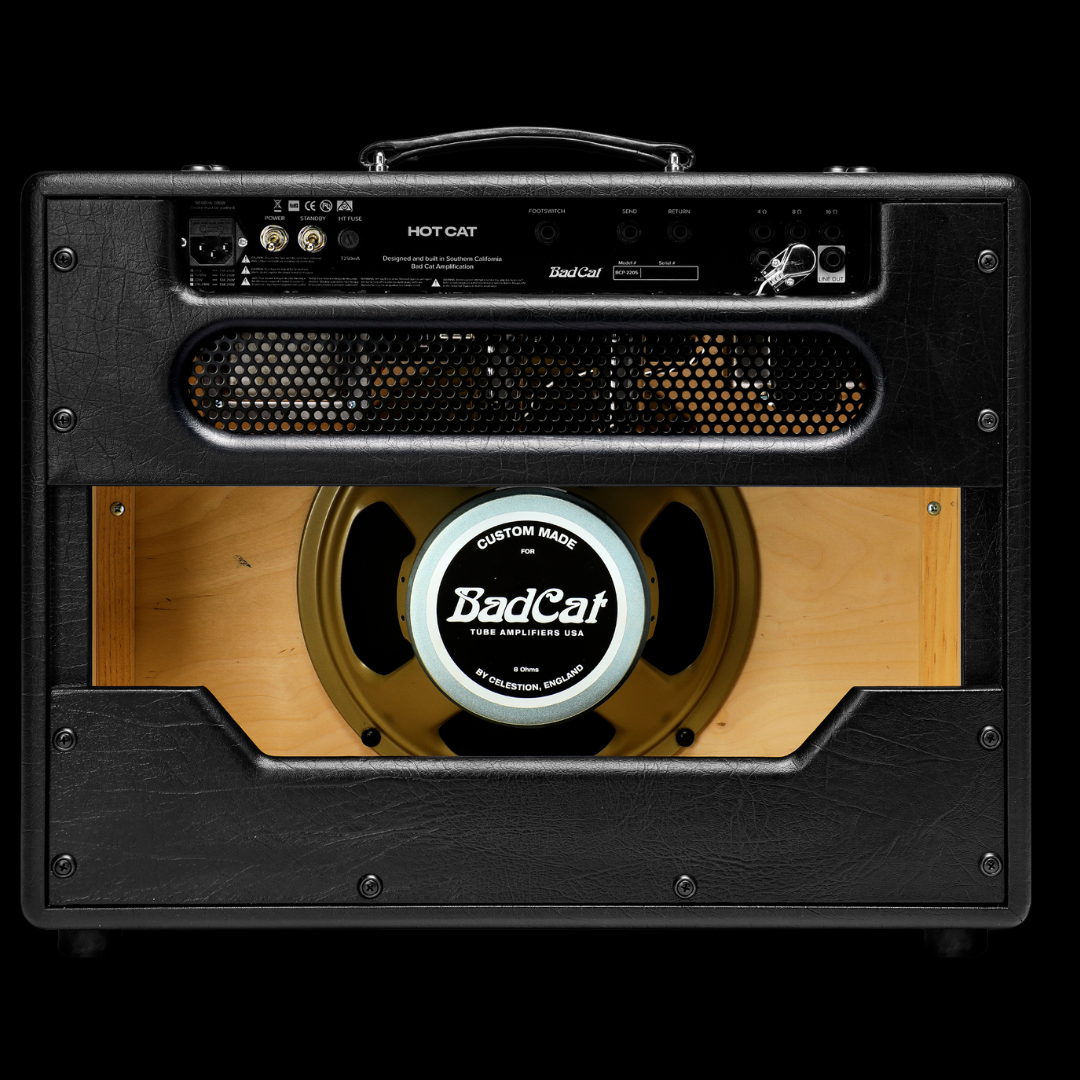 Bad Cat Hot Cat 45 Watt 1 x 12 Combo - Palen Music