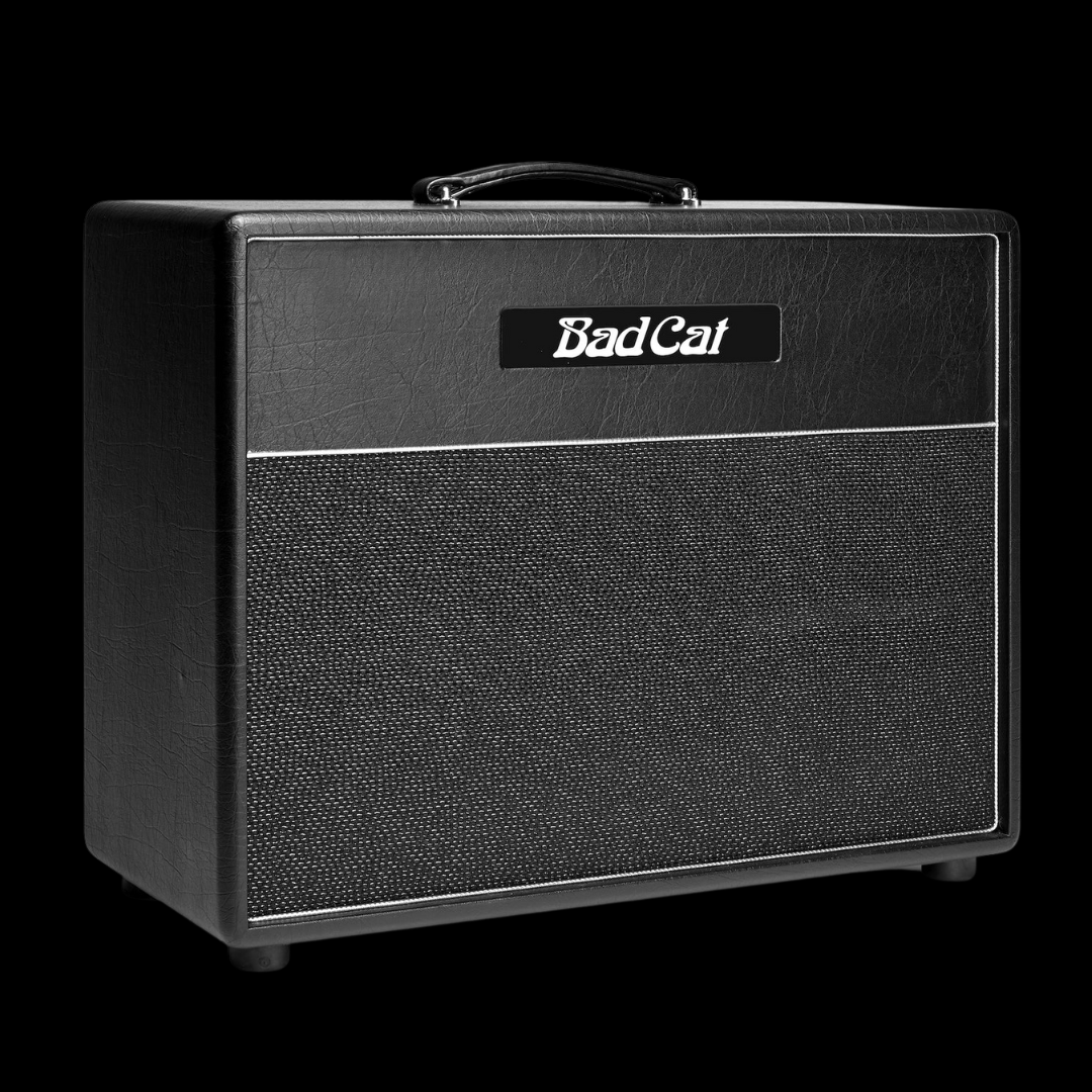 Bad Cat Hot Cat 1x12 Extension Cabinet - Palen Music