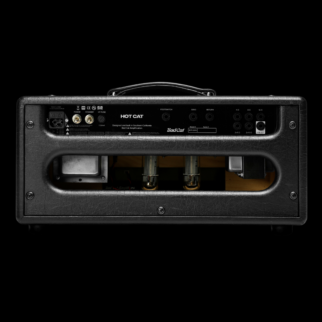 Bad Cat Hot Cat 45 Watt Head - Palen Music