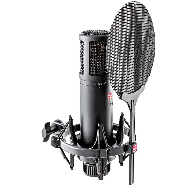 sE Electronics sE2200 Large-diaphragm Condenser Microphone - Palen Music