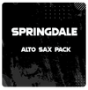 Springdale Alto Sax Pack - Palen Music