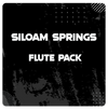 Siloam Springs Flute Pack - Palen Music