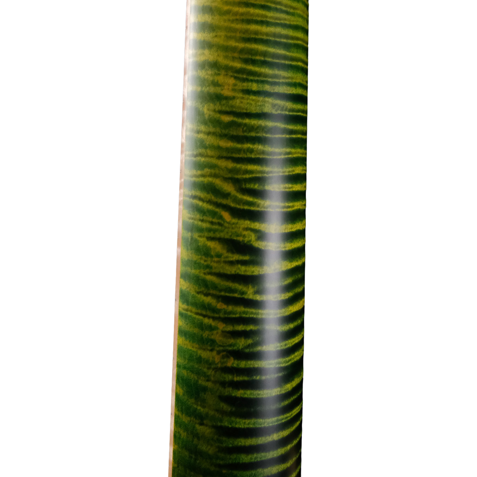 PRS Private Stock DGT "Curly Maple" - Rainforest Glow