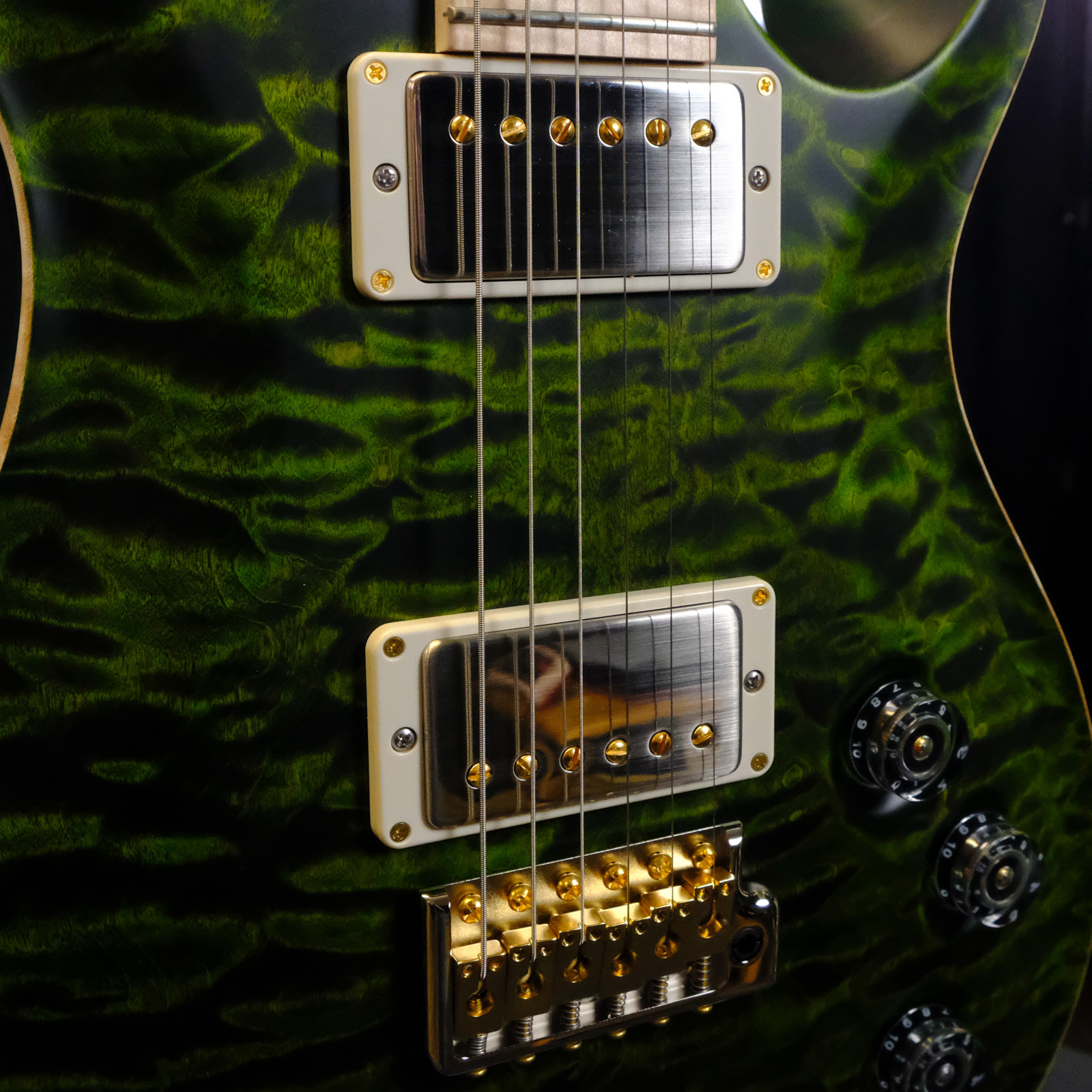 PRS Wood Library DGT Electric Guitar with Bird Inlays - Jade