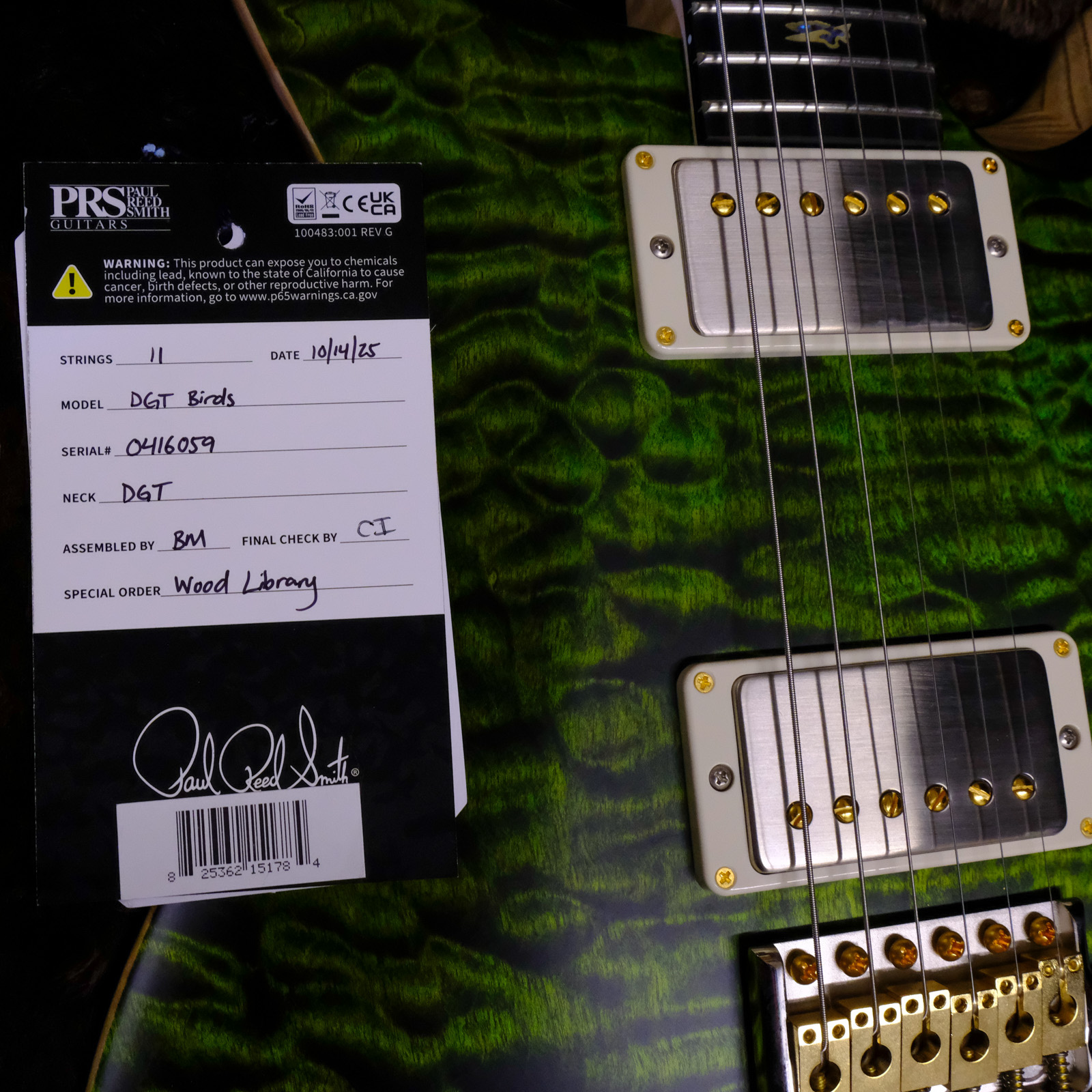 PRS Wood Library DGT Quilted Maple - Jade