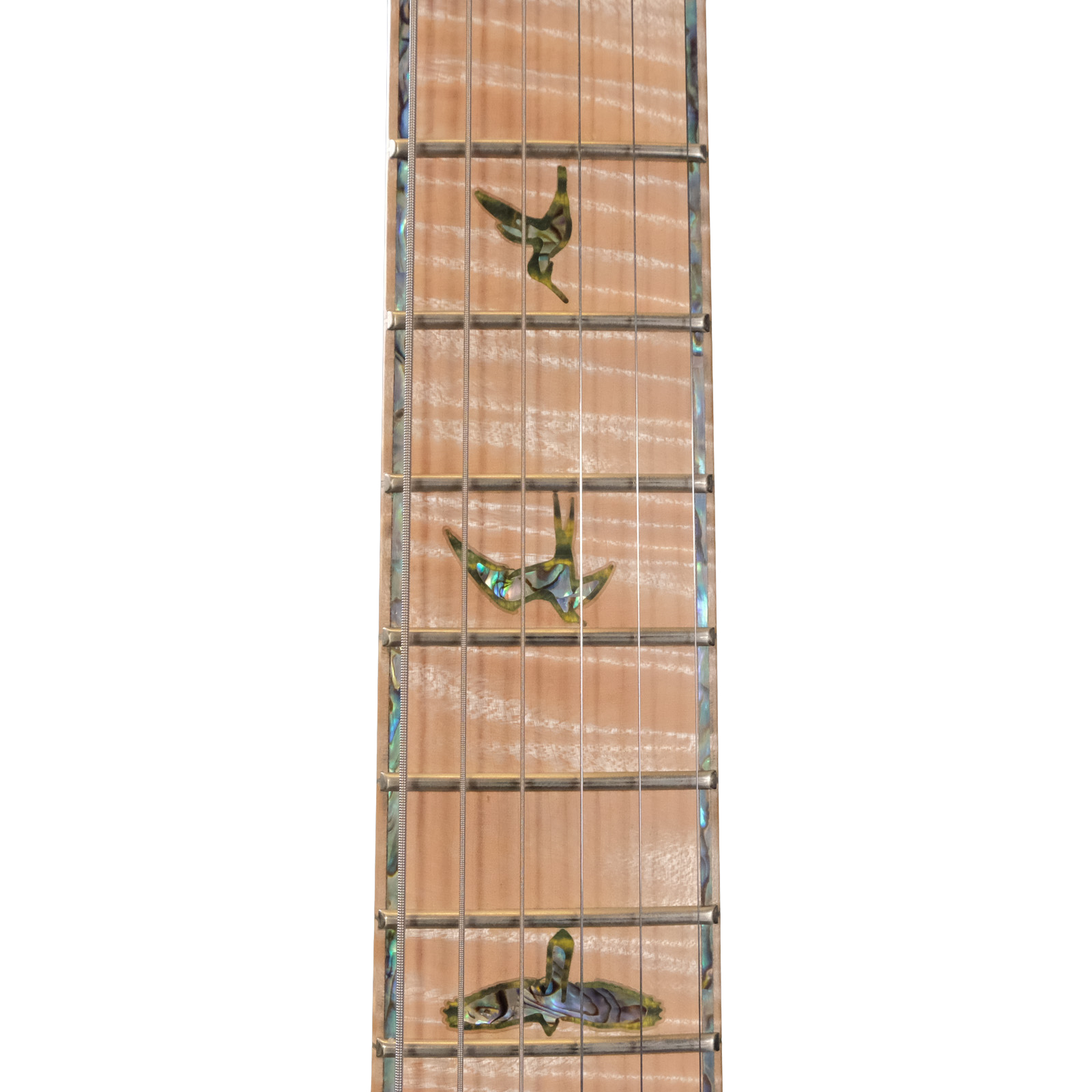 PRS Private Stock DGT "Curly Maple" - Rainforest Glow