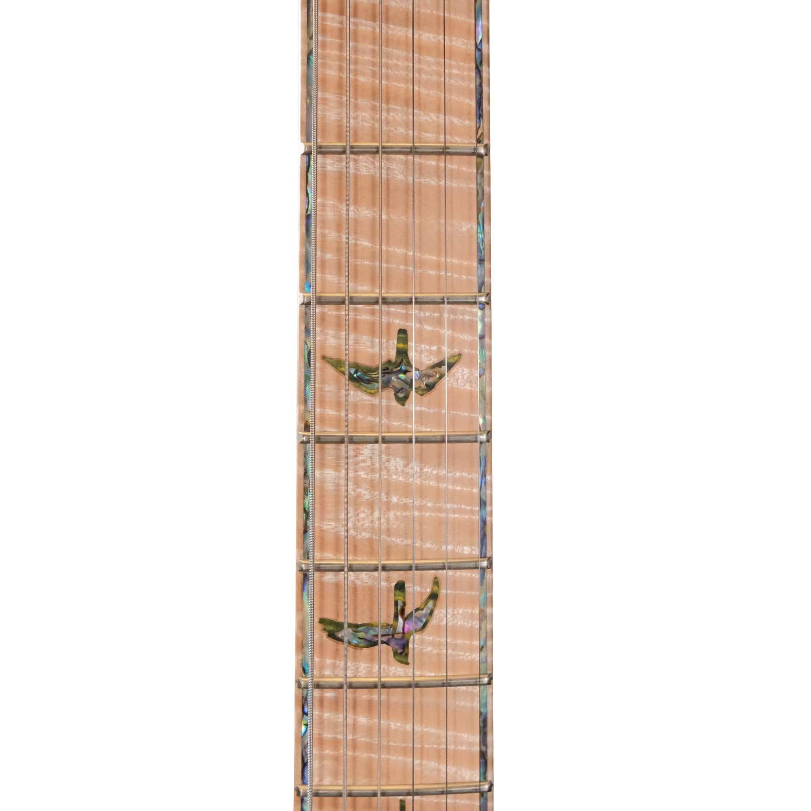 PRS Private Stock DGT "Curly Maple" - Rainforest Glow