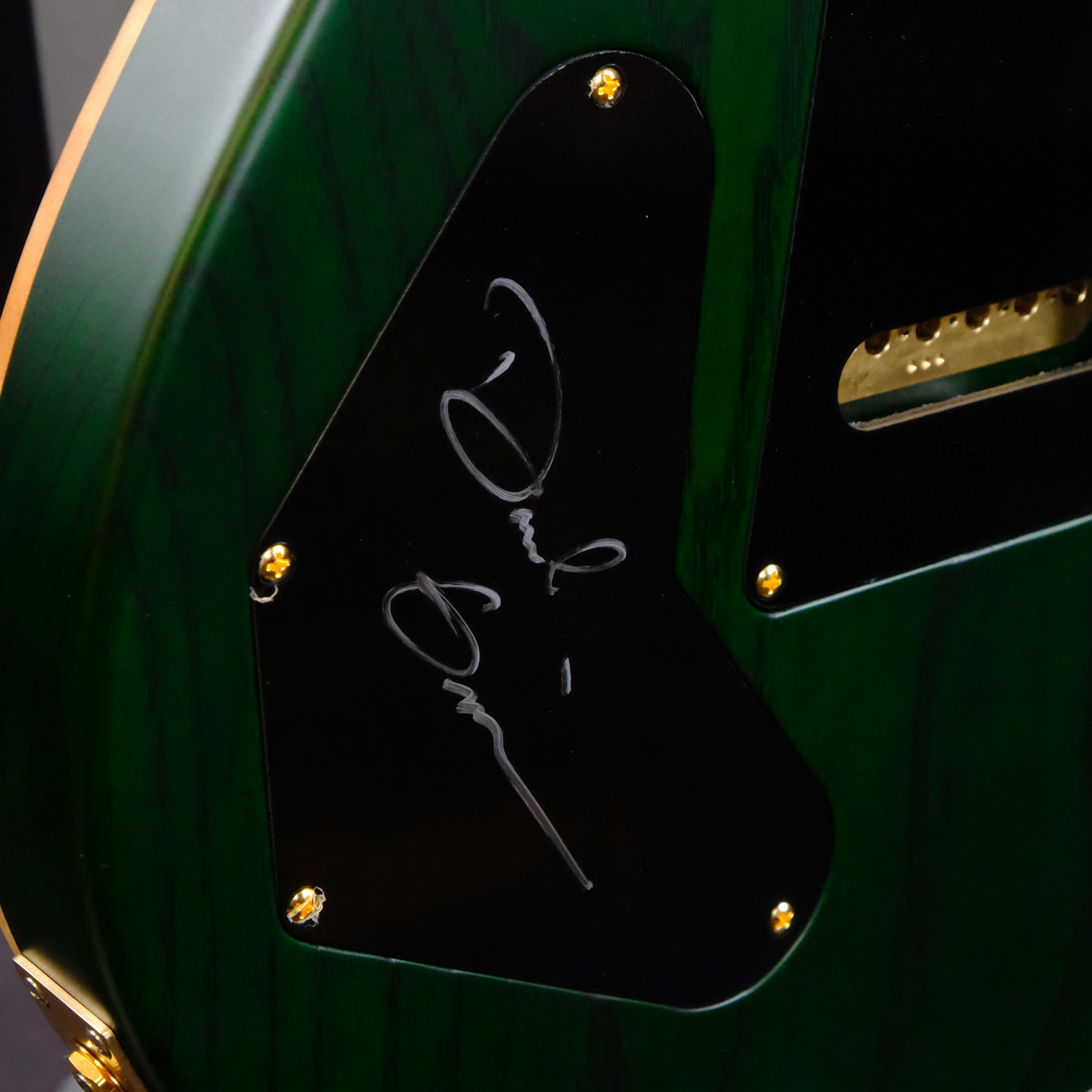 PRS Wood Library DGT Electric Guitar with Bird Inlays - Jade