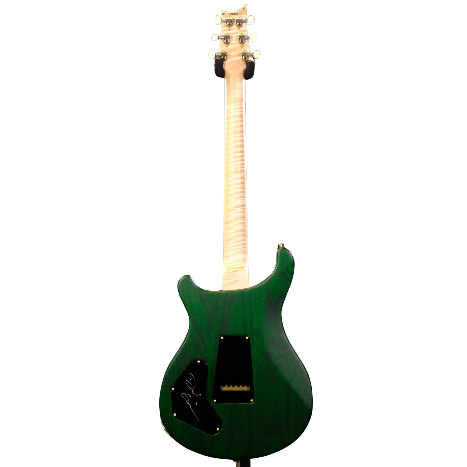 PRS Wood Library DGT Electric Guitar with Bird Inlays - Jade