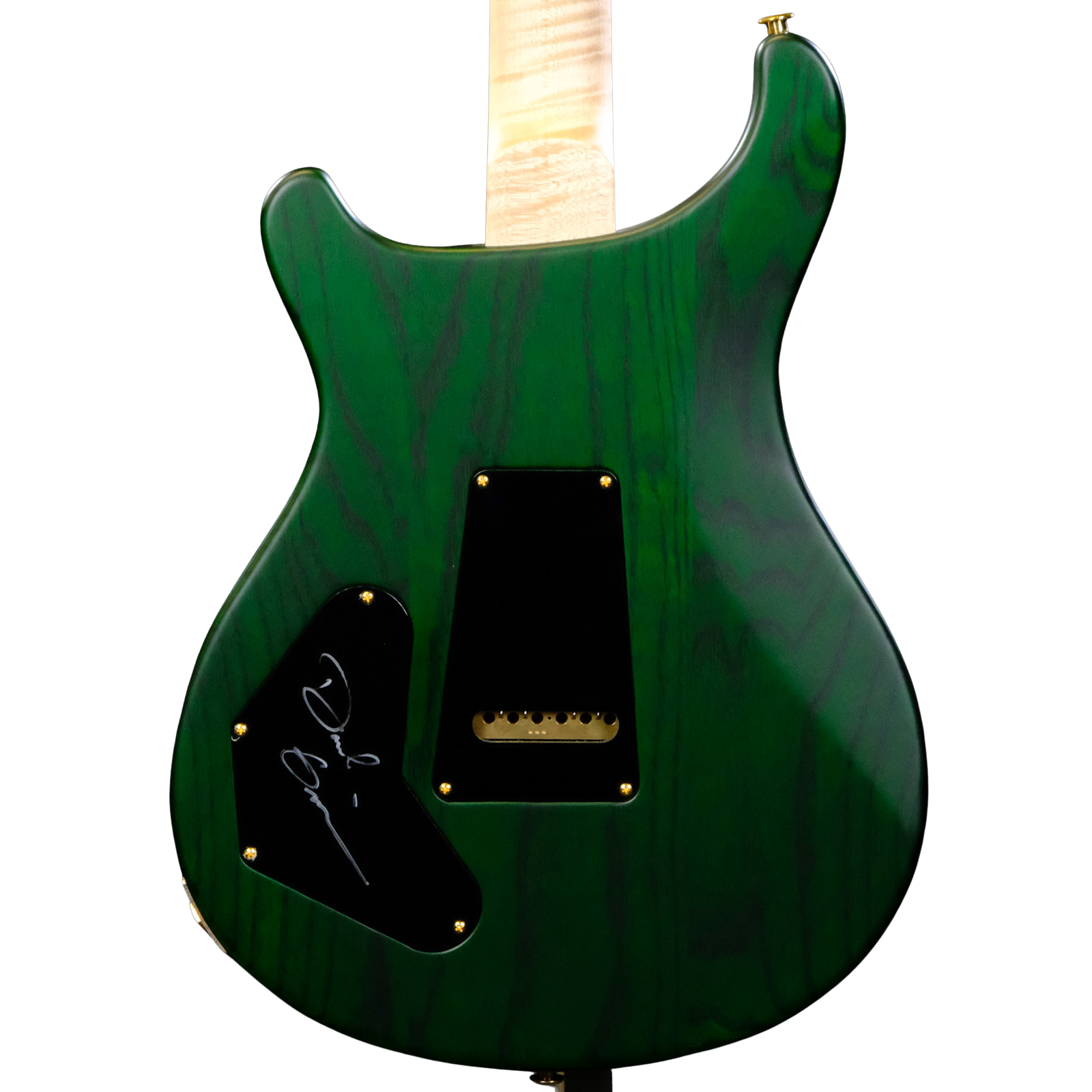 PRS Wood Library DGT Electric Guitar with Bird Inlays - Jade