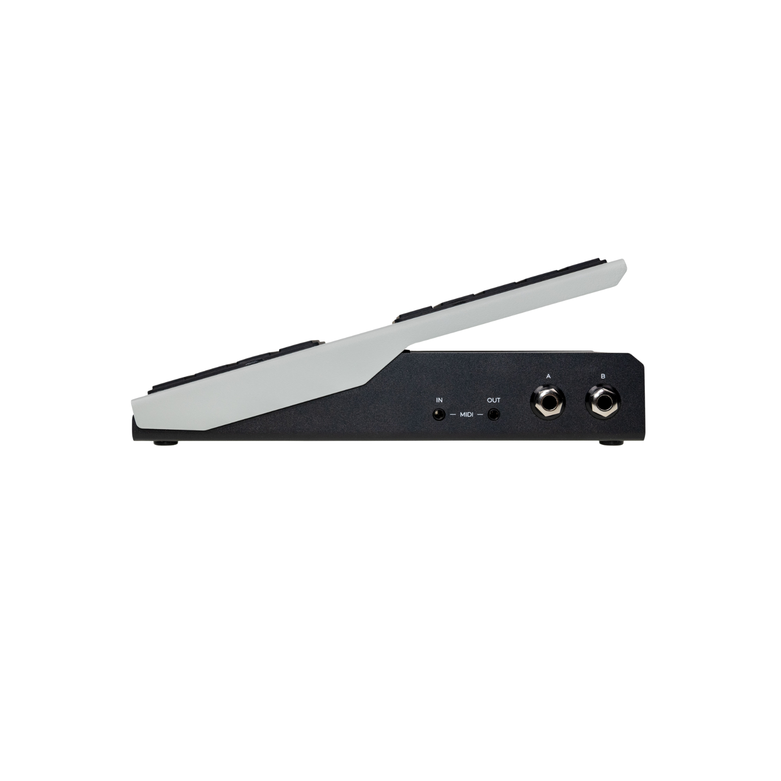 Walrus Audio Canvas Expression