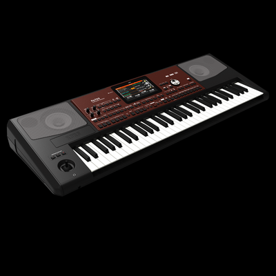 Korg Pa700 61-key Arranger Workstation - Palen Music