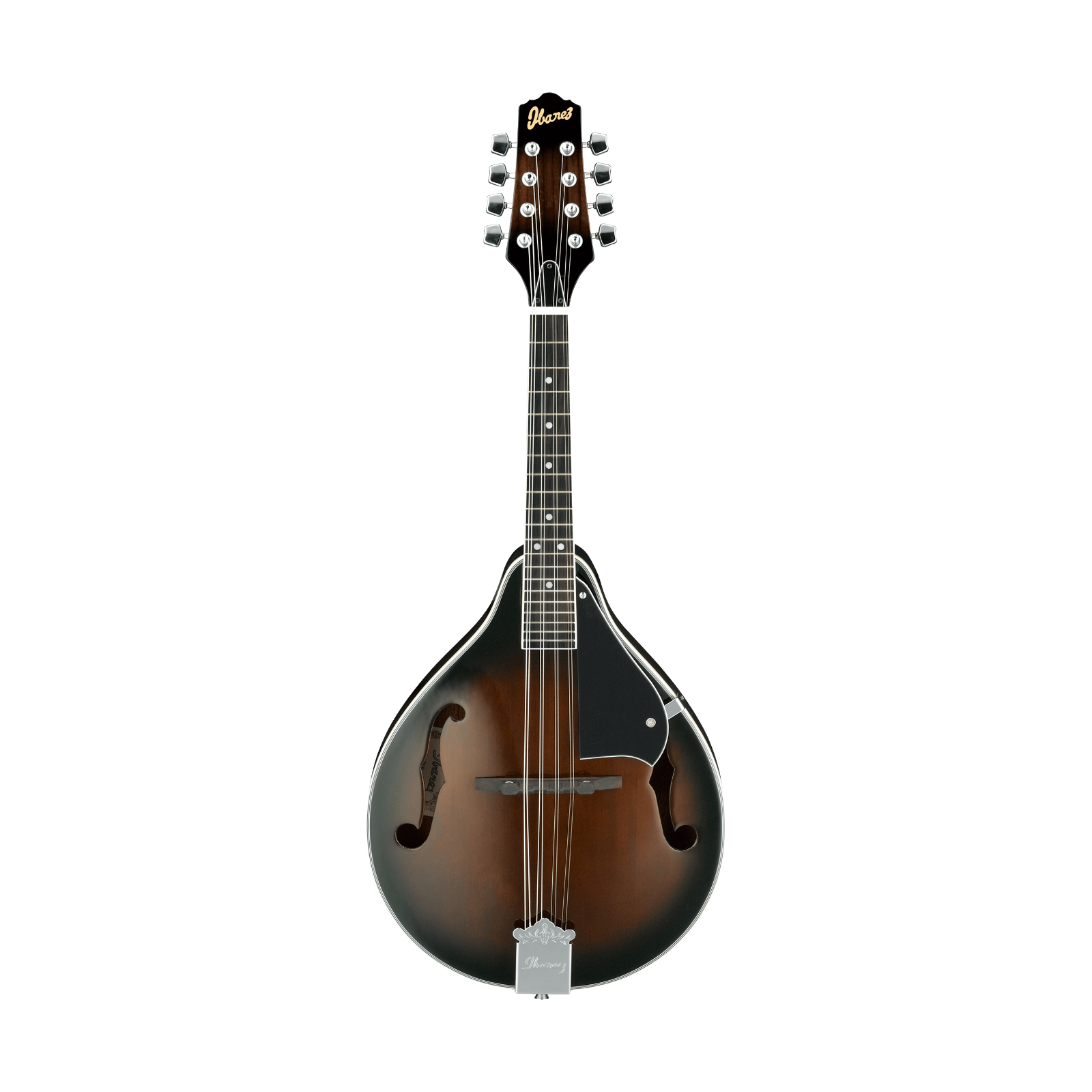 Ibanez M510