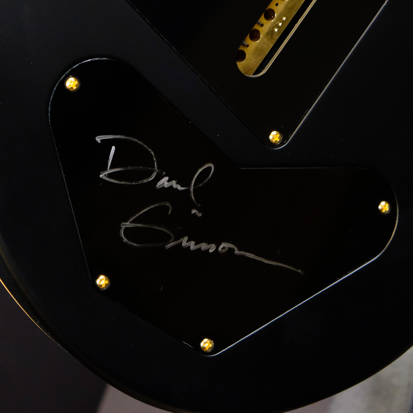 PRS Wood Library DGT Quilted Maple - Purple Mist