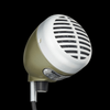 Shure 520DX "Green Bullet" Harmonica Microphone - Palen Music