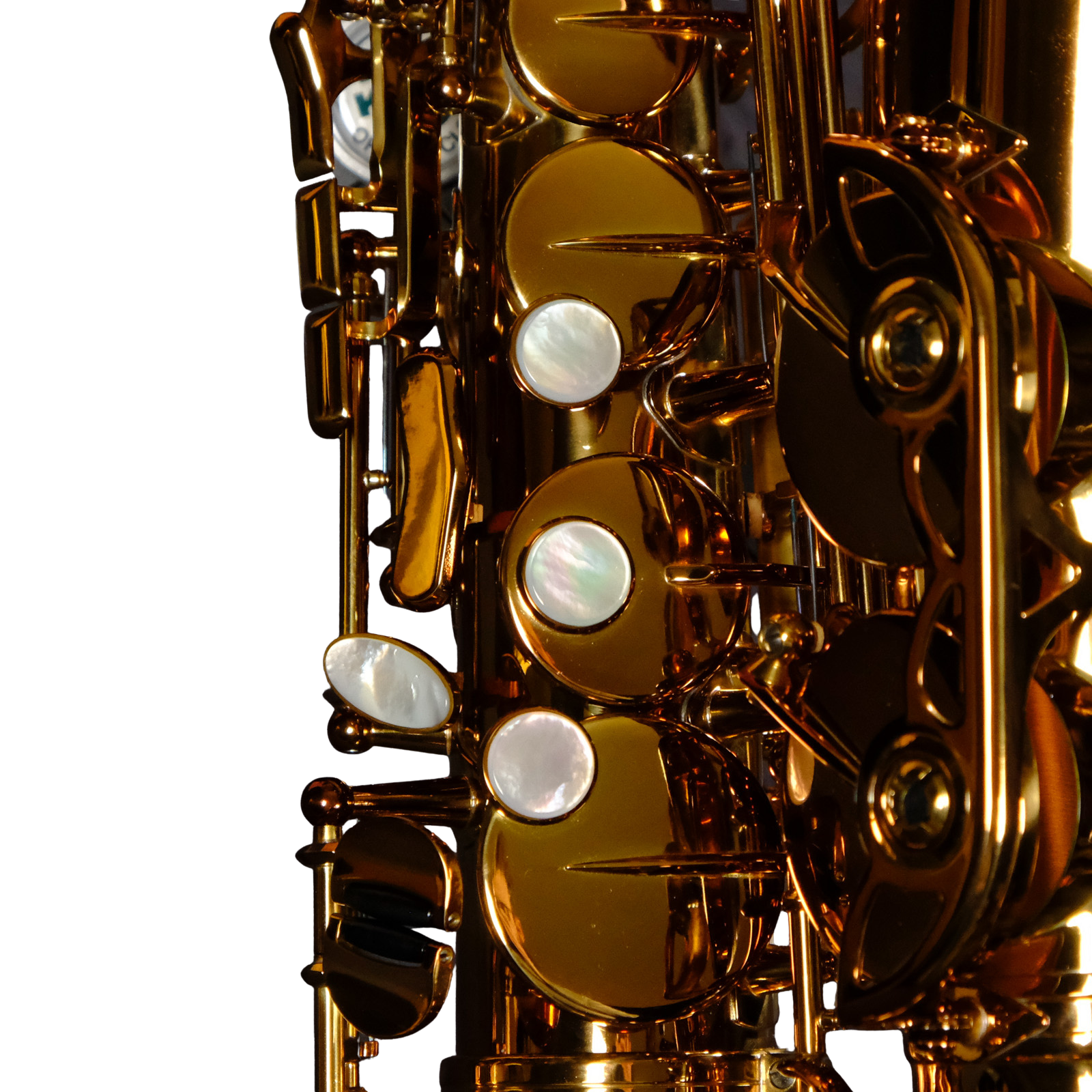 Rampone & Cazzani Performance Series Alto Saxophone - RCPASL