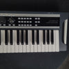 Korg X50 Music Synthesizer Keyboard - Palen Music