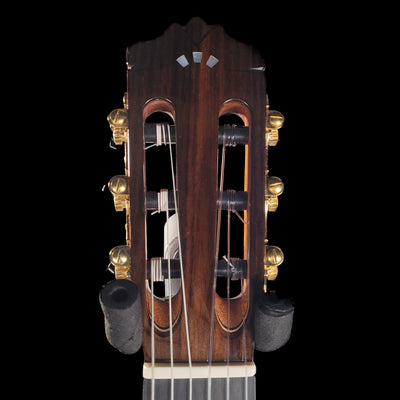Cordoba C10 CD Nylon String Acoustic Guitar - Cedar Top - Palen Music