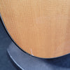 Taylor 310ce Acoustic Guitar with hard case - Palen Music