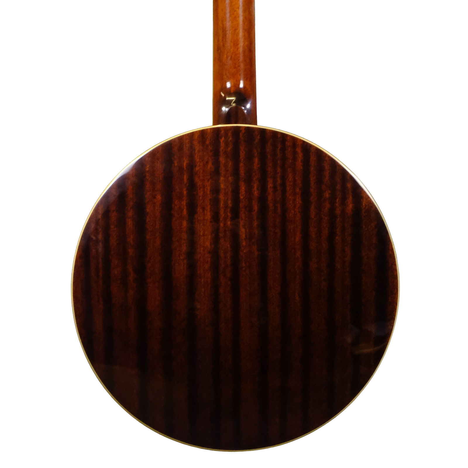 Recording King RK-R36-BR Madison Resonator Banjo - Brown Gloss