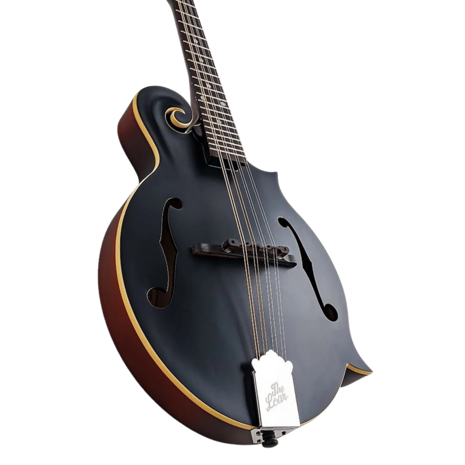 The Loar LM-549-BKM - Matte Black