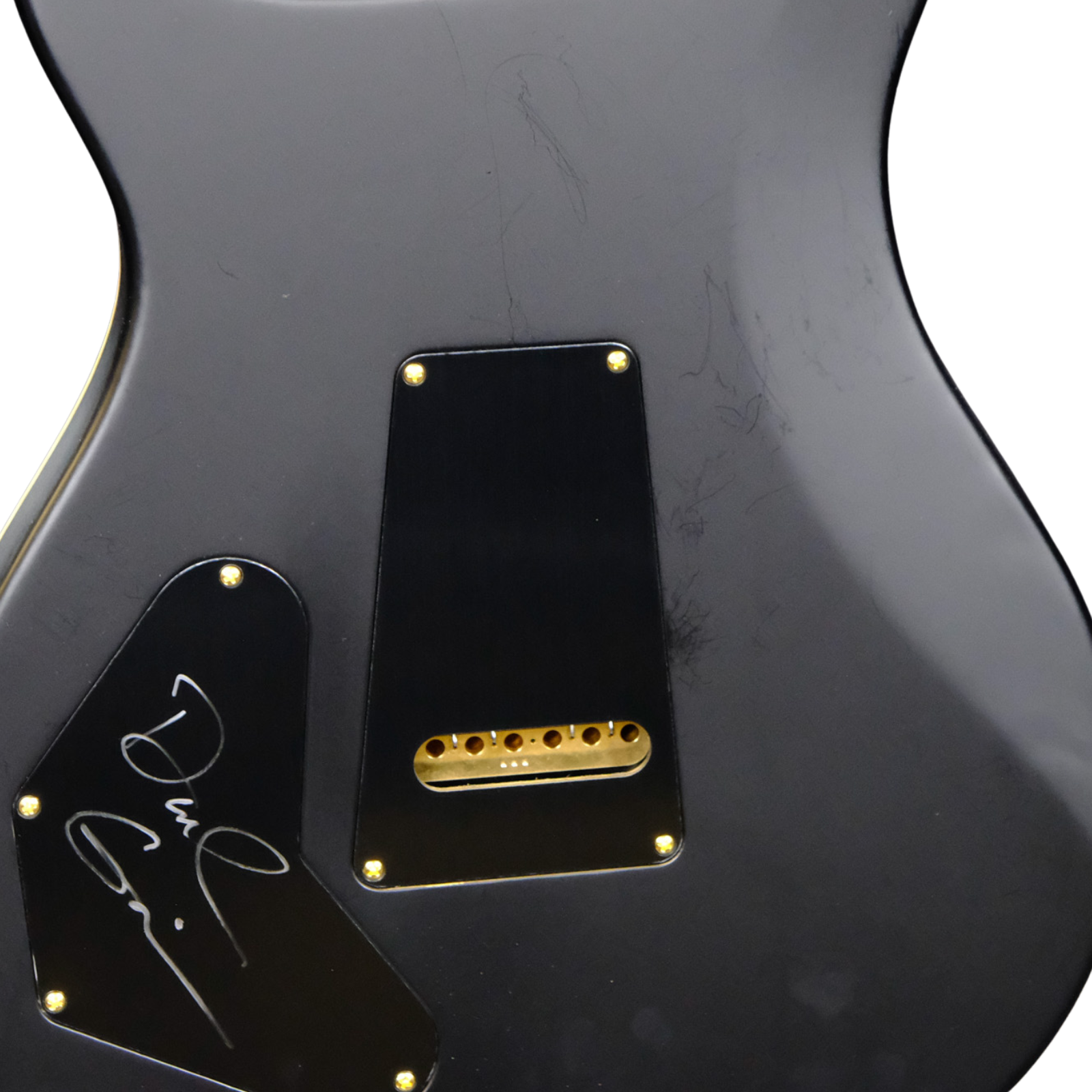 PRS Wood Library DGT Flame Maple - Purple Mist