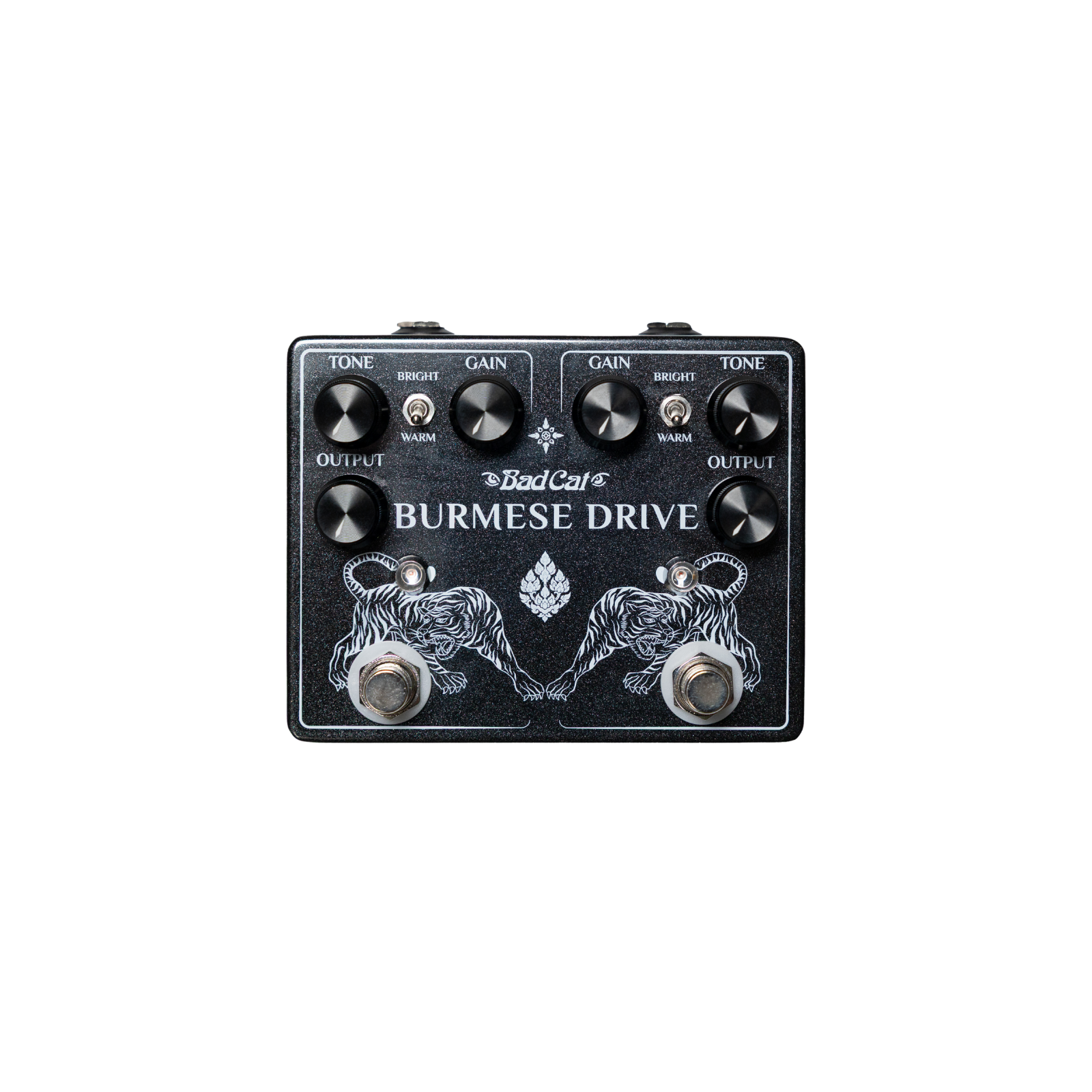 Bad Cat Burmese Drive