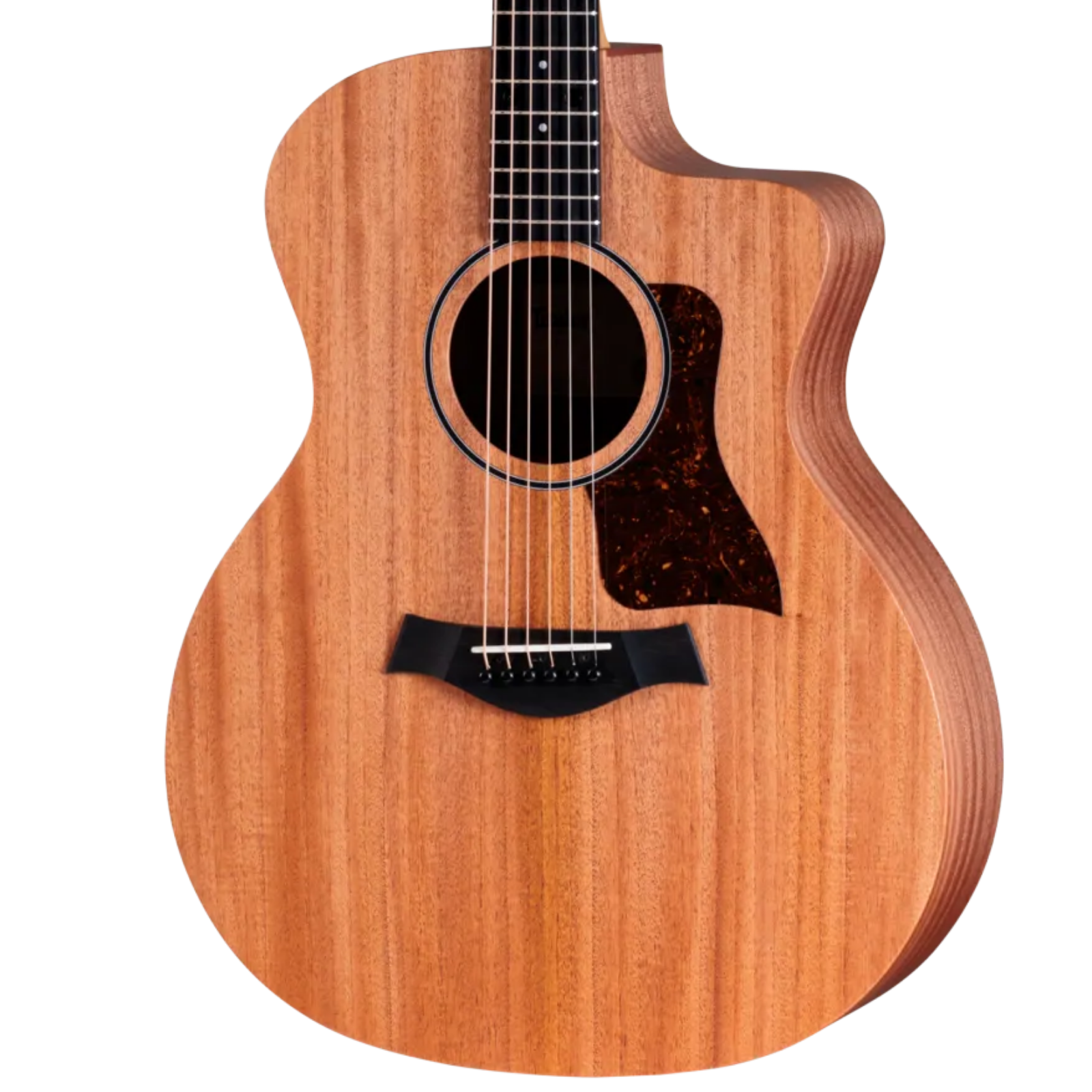 Taylor 24ce - Natural