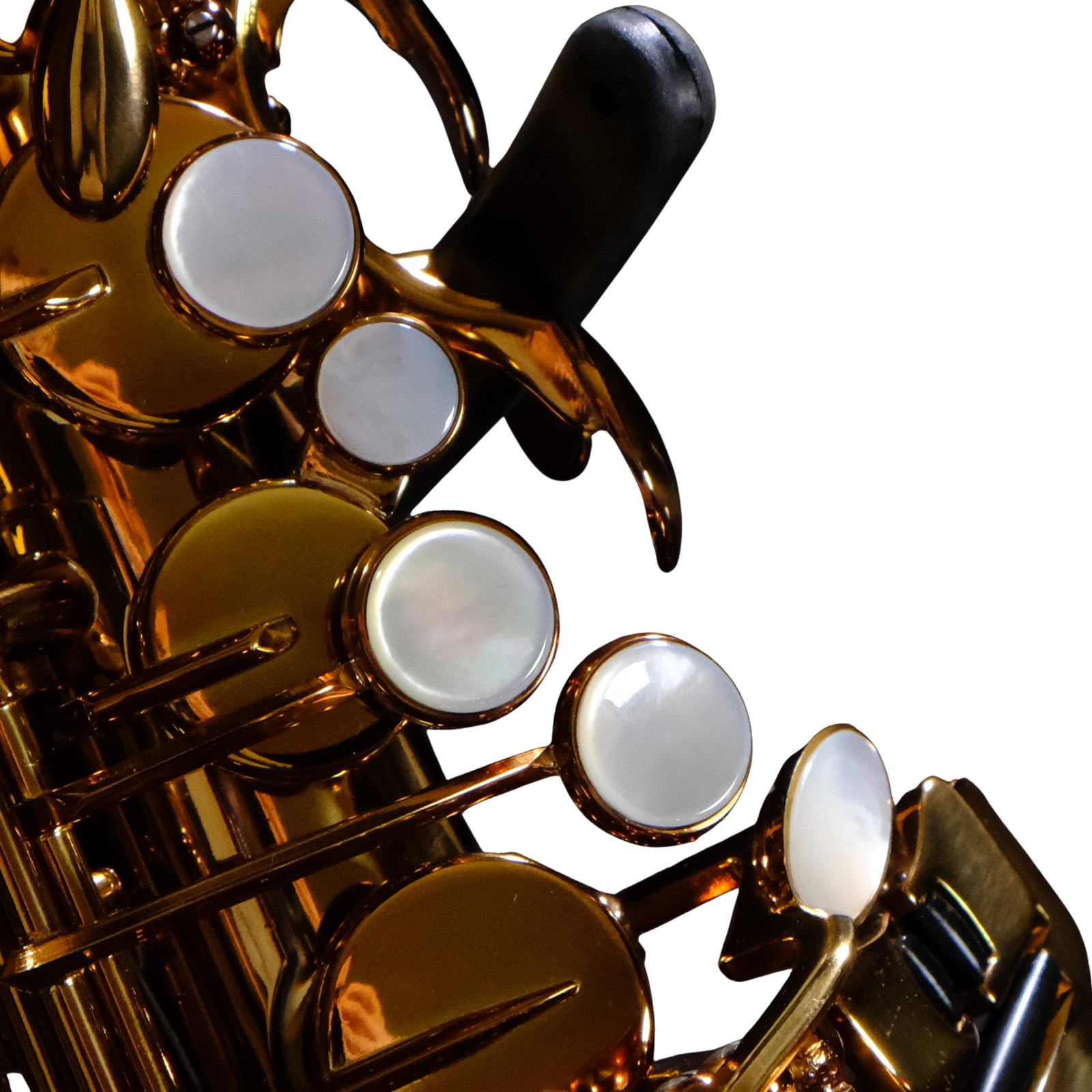 Rampone & Cazzani Performance Series Alto Saxophone - RCPASL