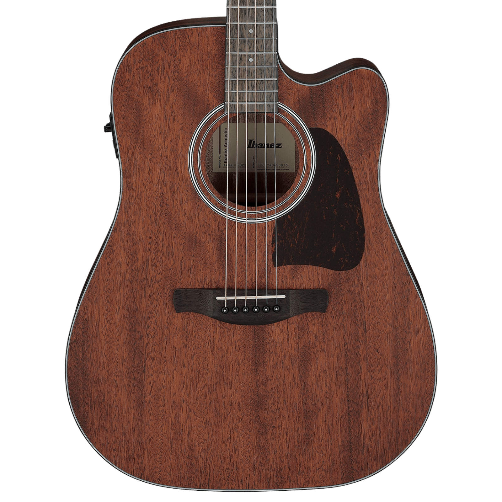 Ibanez AW54CE - Open Pore Natural