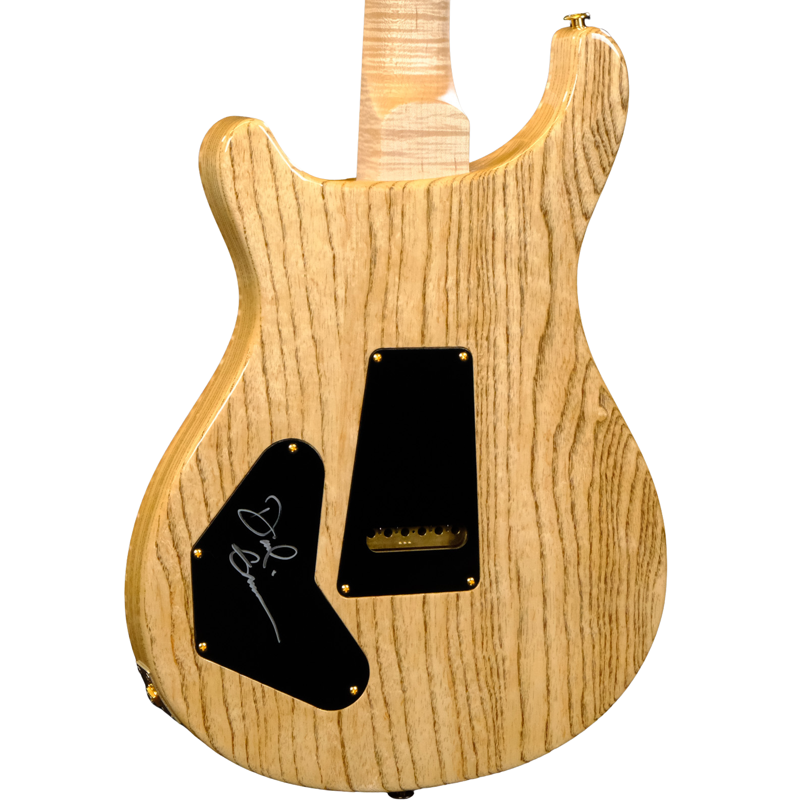 PRS Wood Library DGT Electric Guitar with Bird Inlays - Copperhead with Natural Back