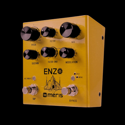 Meris Enzo Multi-Voice Instrument Synthesizer Pedal - Palen Music