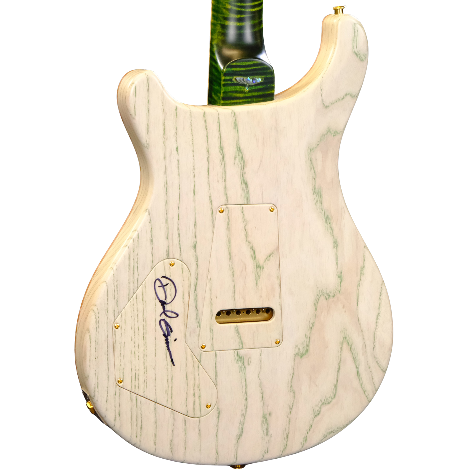 PRS Private Stock DGT "Curly Maple" - Rainforest Glow