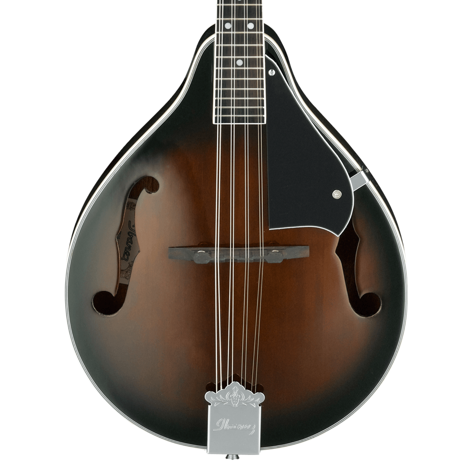 Ibanez M510