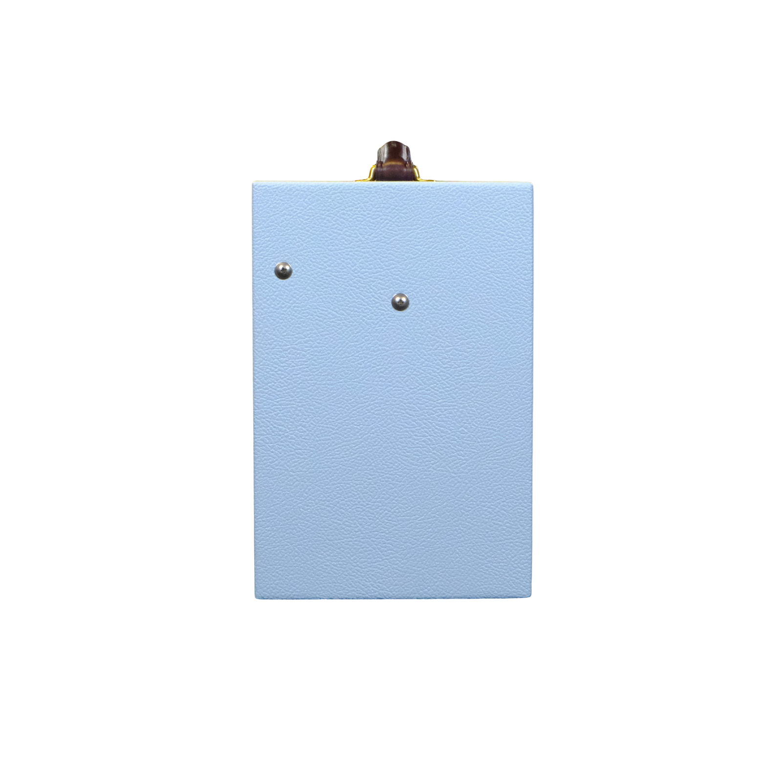 Magnatone Starlite 1x8 Combo w/ Reverb - Custom Color Carolina Blue