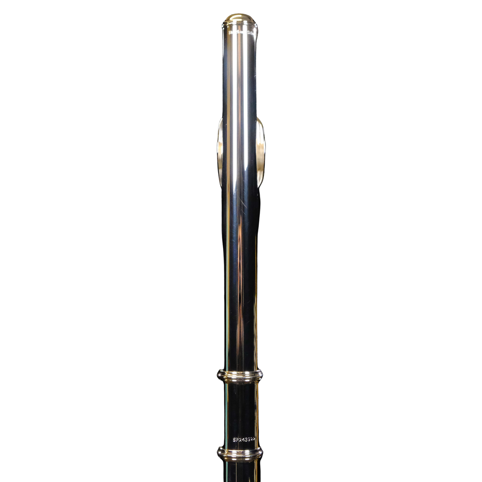 Di Zhao Intermediate Flute w/Solid Silver Headjoint - DZ601BOF