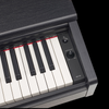 Yamaha Arius YDP-105B Digital Piano with Bench - Black - Palen Music
