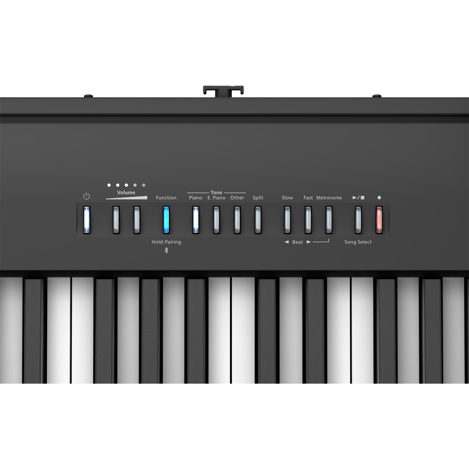 Roland FP-30X Digital Piano with Speakers - Black