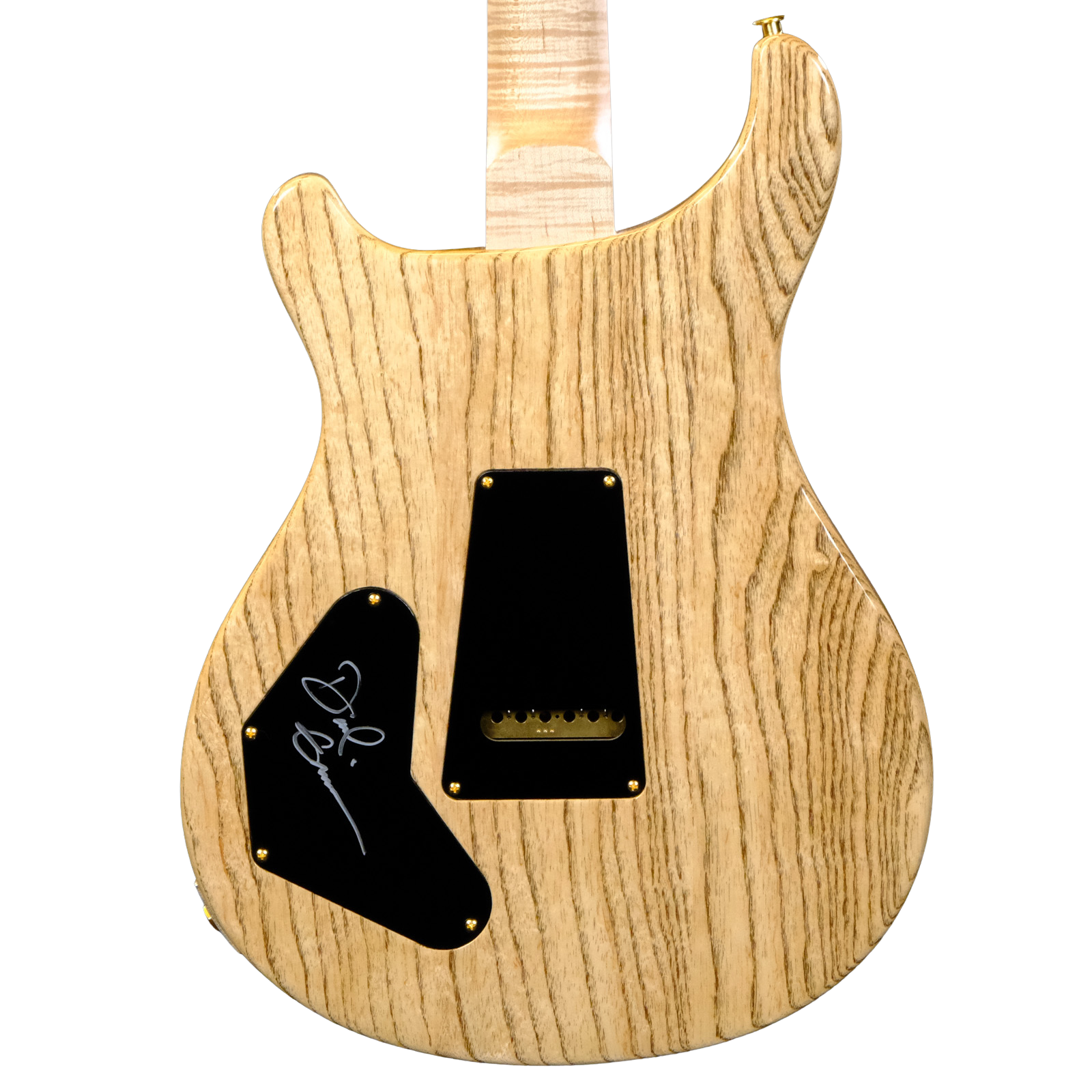 PRS Wood Library DGT Electric Guitar with Bird Inlays - Copperhead with Natural Back