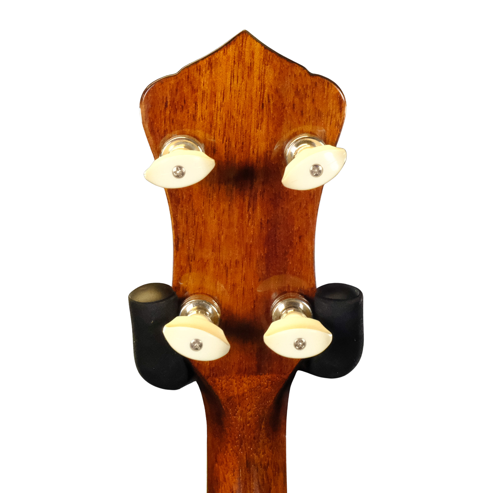 Recording King RK-R36-BR Madison Resonator Banjo - Brown Gloss