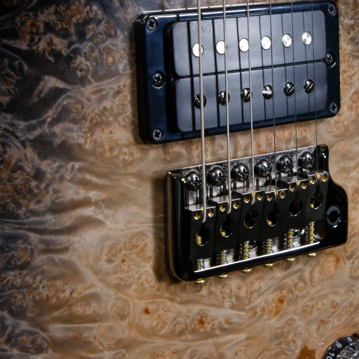 PRS Private Stock Custom 24 - Frostbite Glow