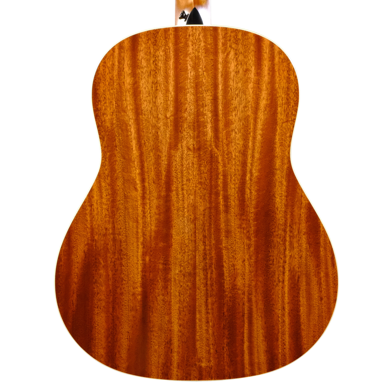 Taylor Gold Label 517e - Natural