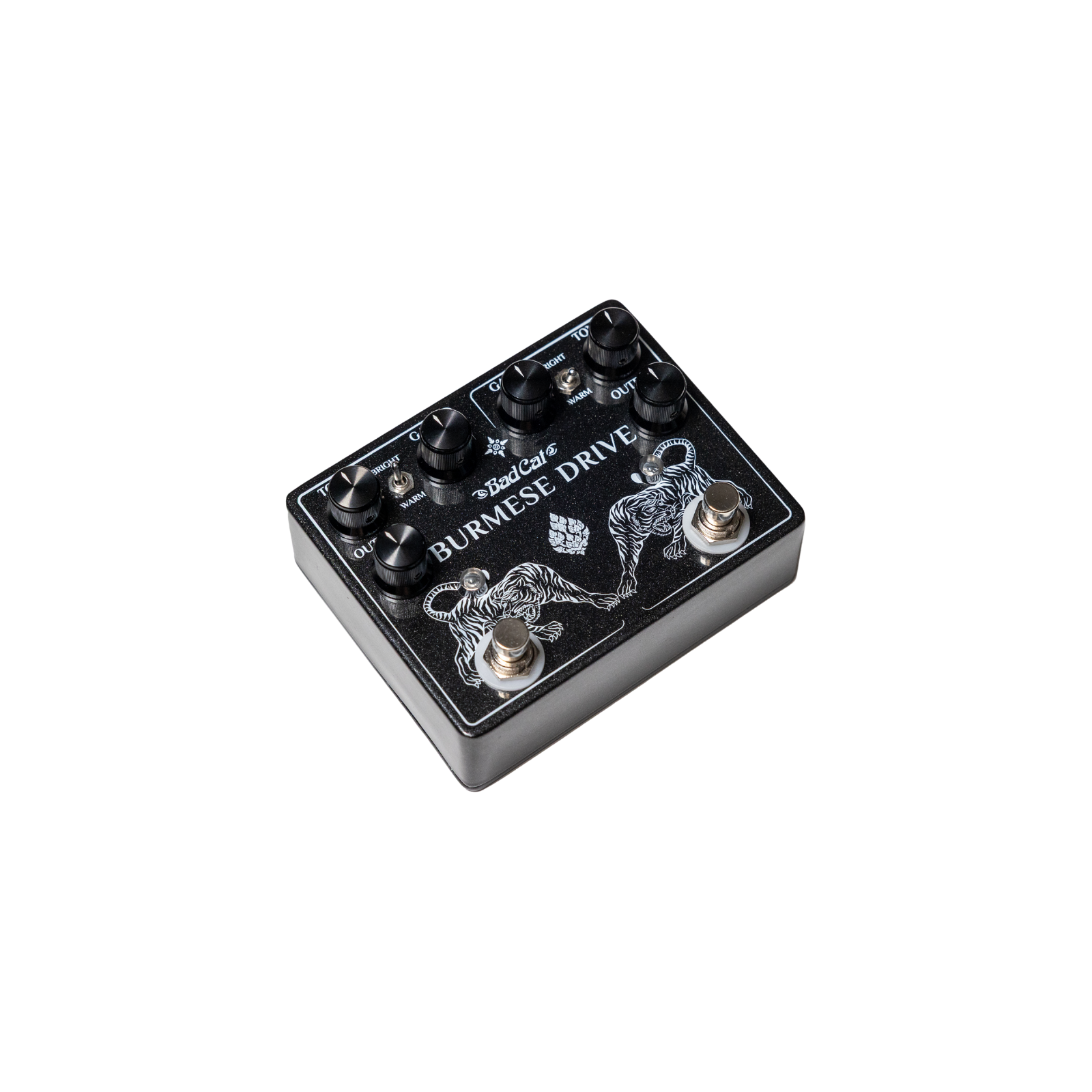 Bad Cat Burmese Drive