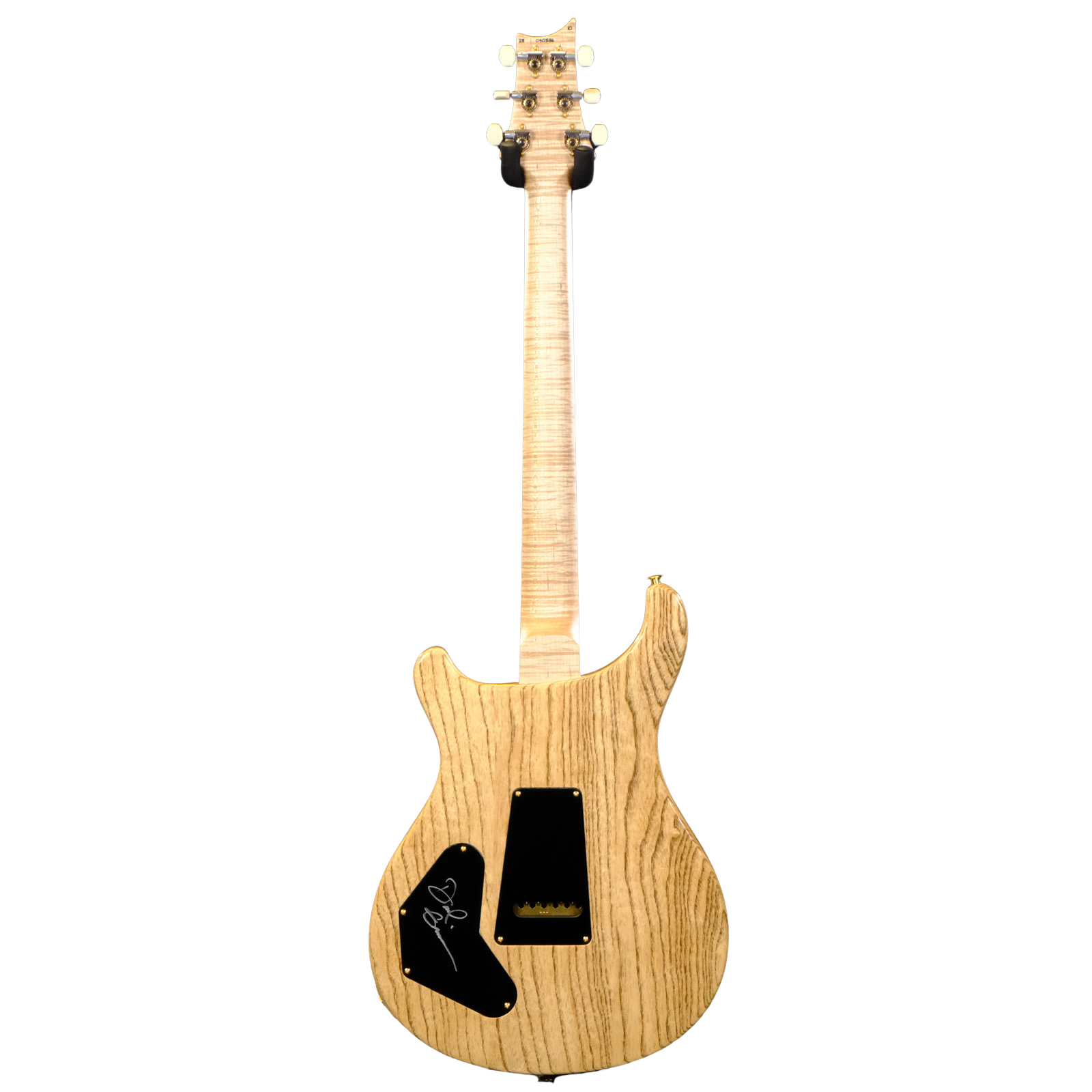 PRS Wood Library DGT Electric Guitar with Bird Inlays - Copperhead with Natural Back