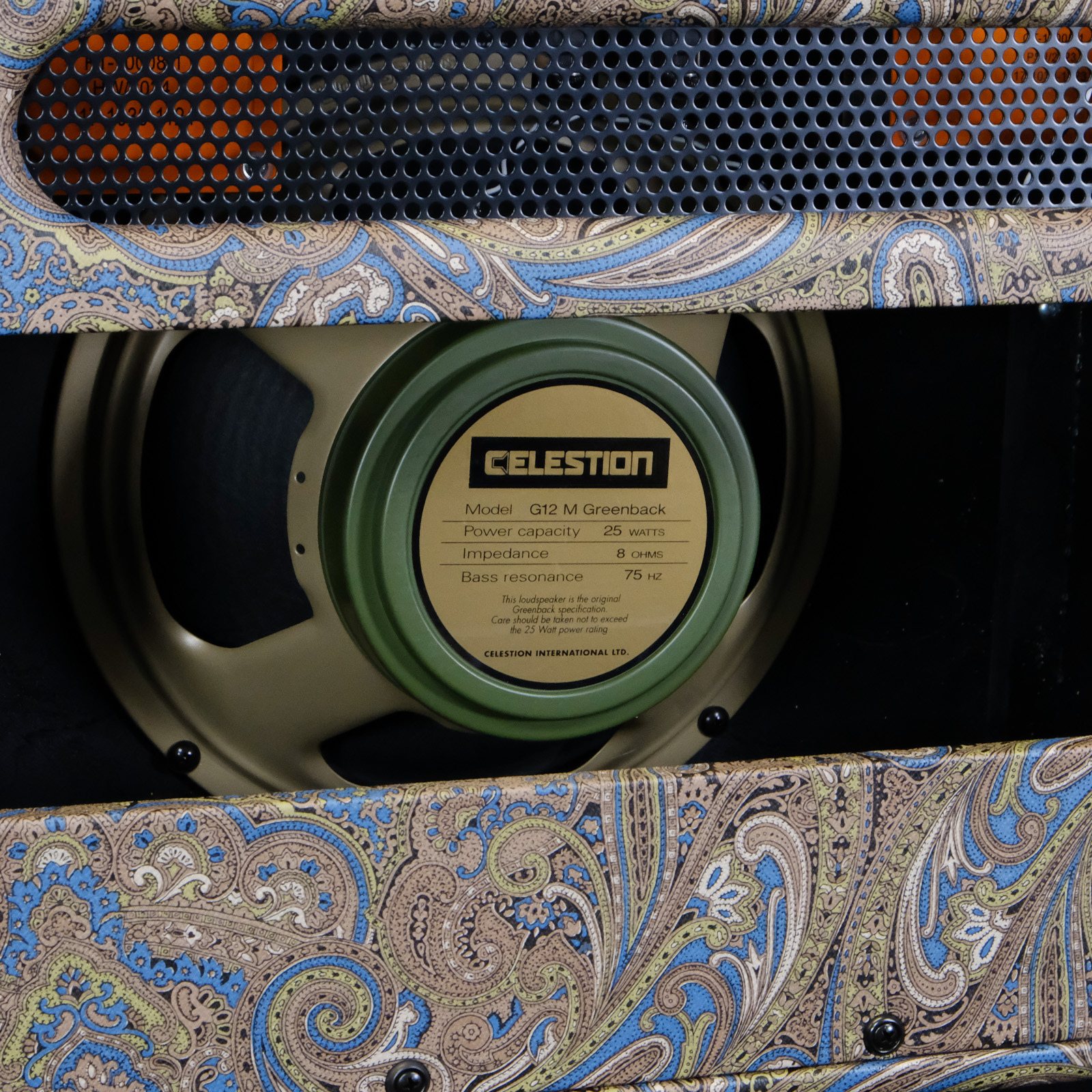 Bad Cat Cub 15 Mod Shop Edition - Custom Blue and Brown Paisley