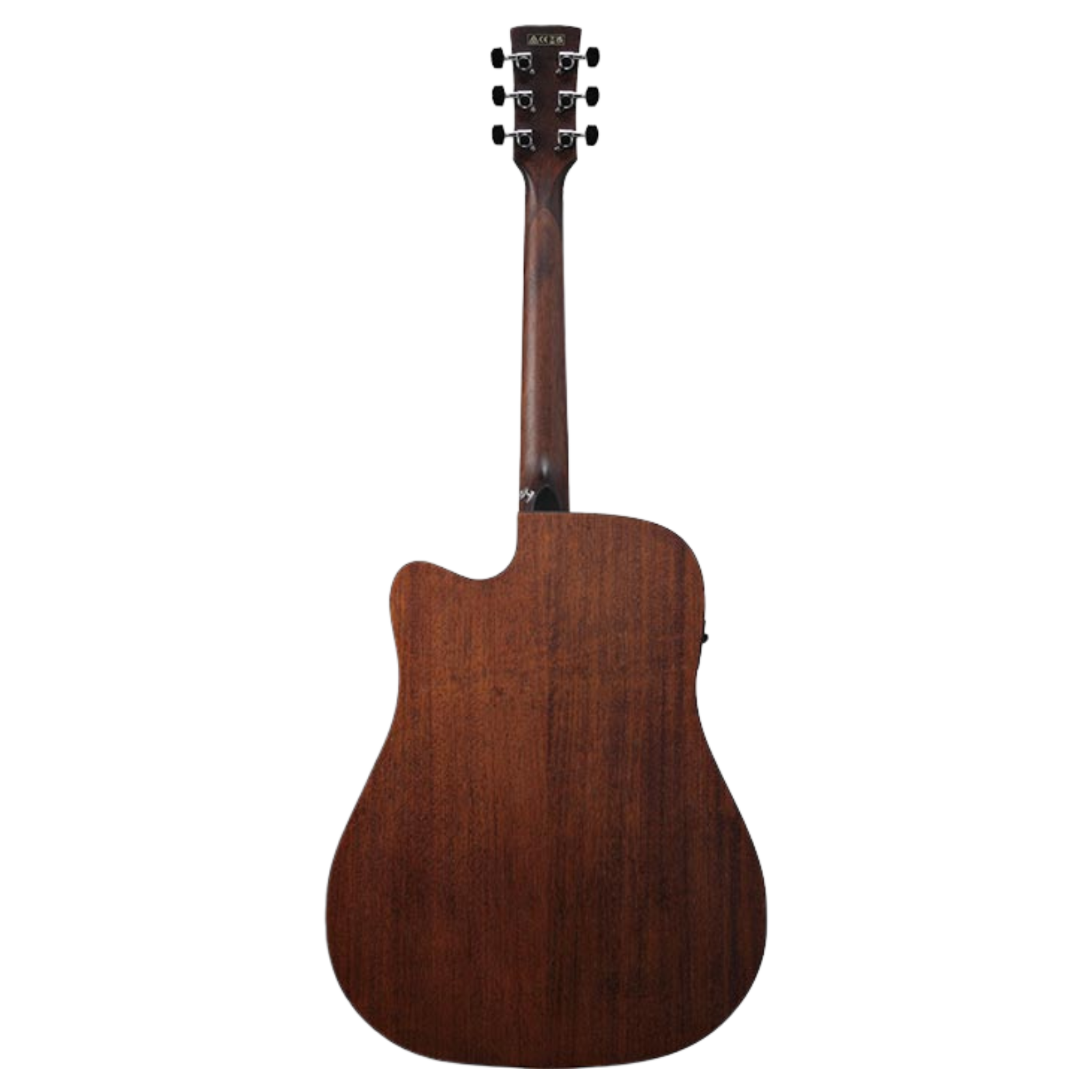 Ibanez AW54CE - Open Pore Natural