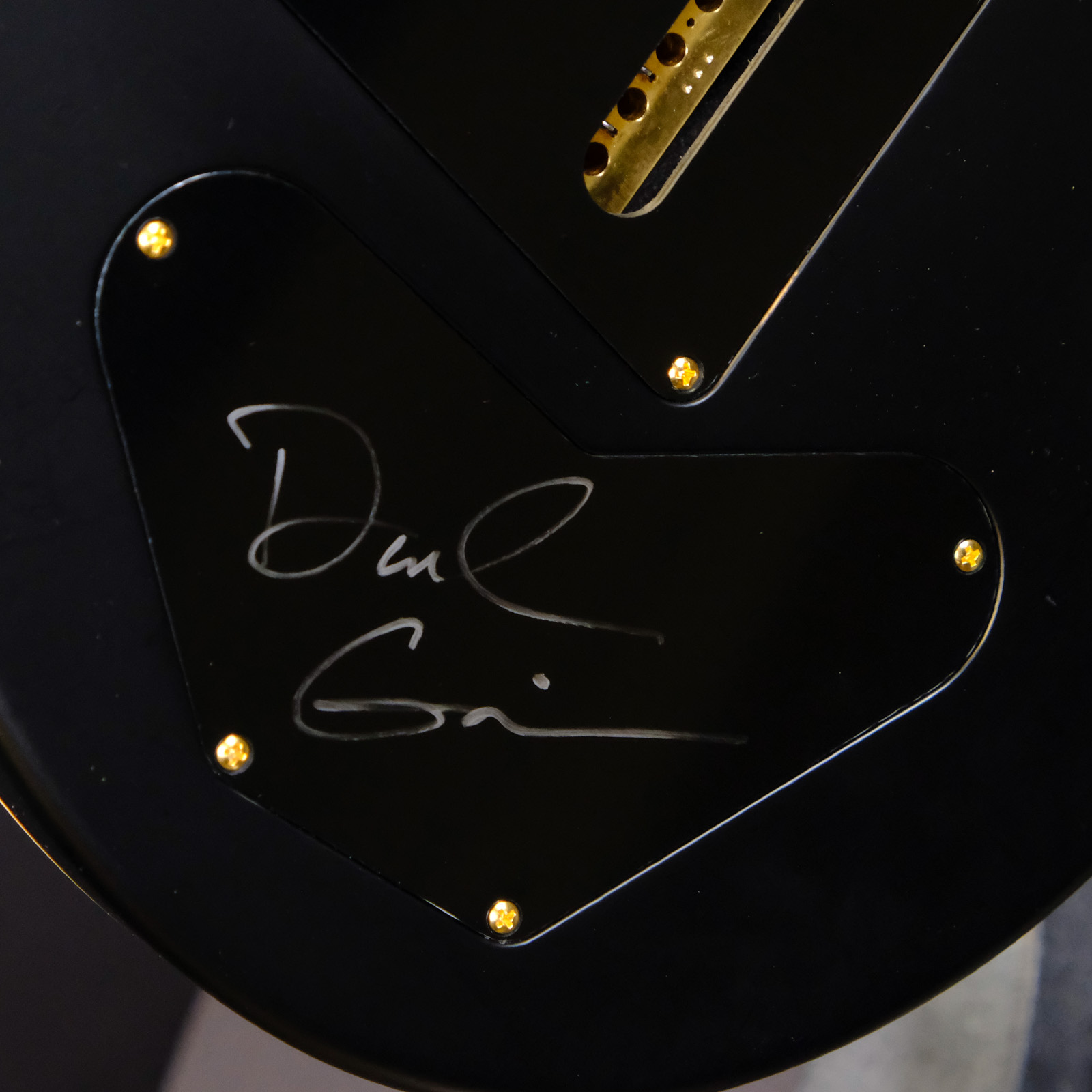 PRS Wood Library DGT Flame Maple - Purple Mist