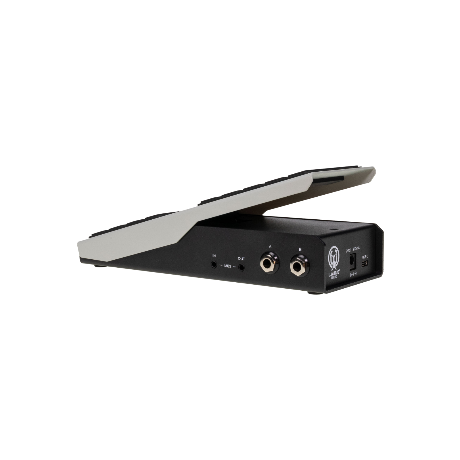 Walrus Audio Canvas Expression